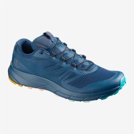 Salomon SENSE RIDE 2 MMB LIMITED Mens Trail Running Shoes Blue | Salomon South Africa